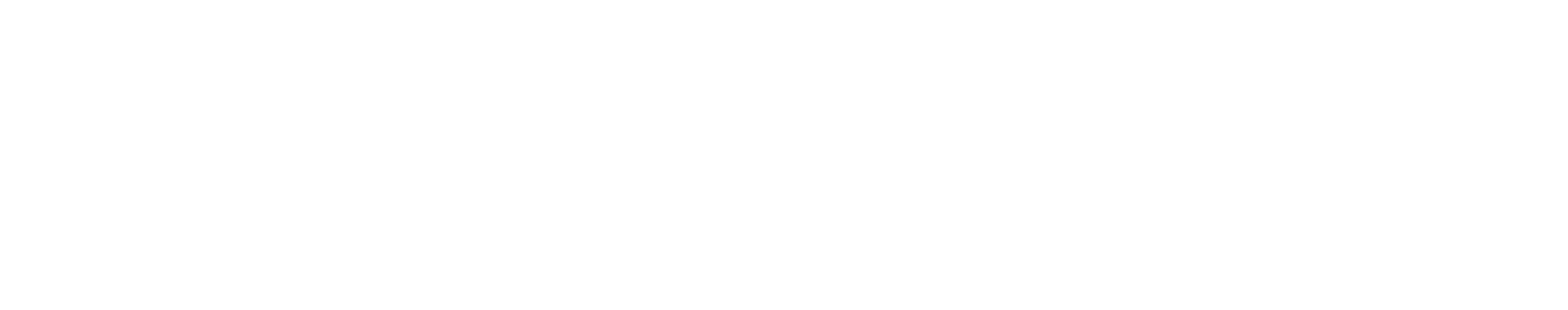 Grupo Motomex